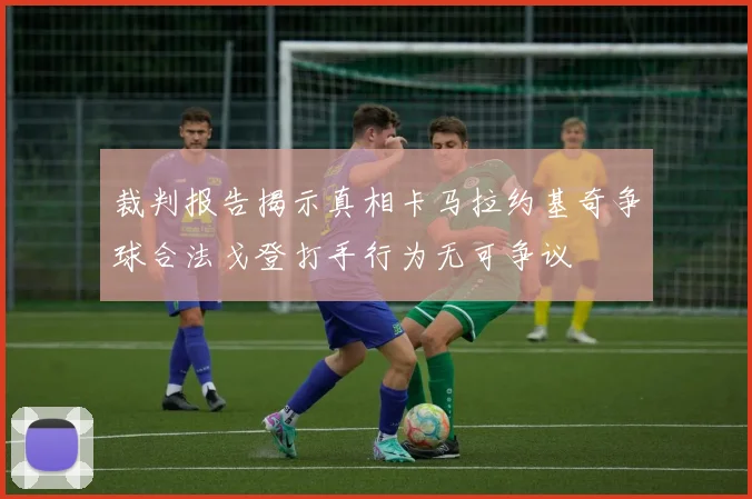 裁判报告揭示真相卡马拉约基奇争球合法戈登打手行为无可争议